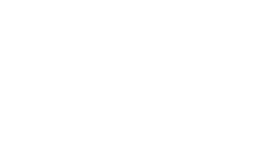 Ancient Future Collective